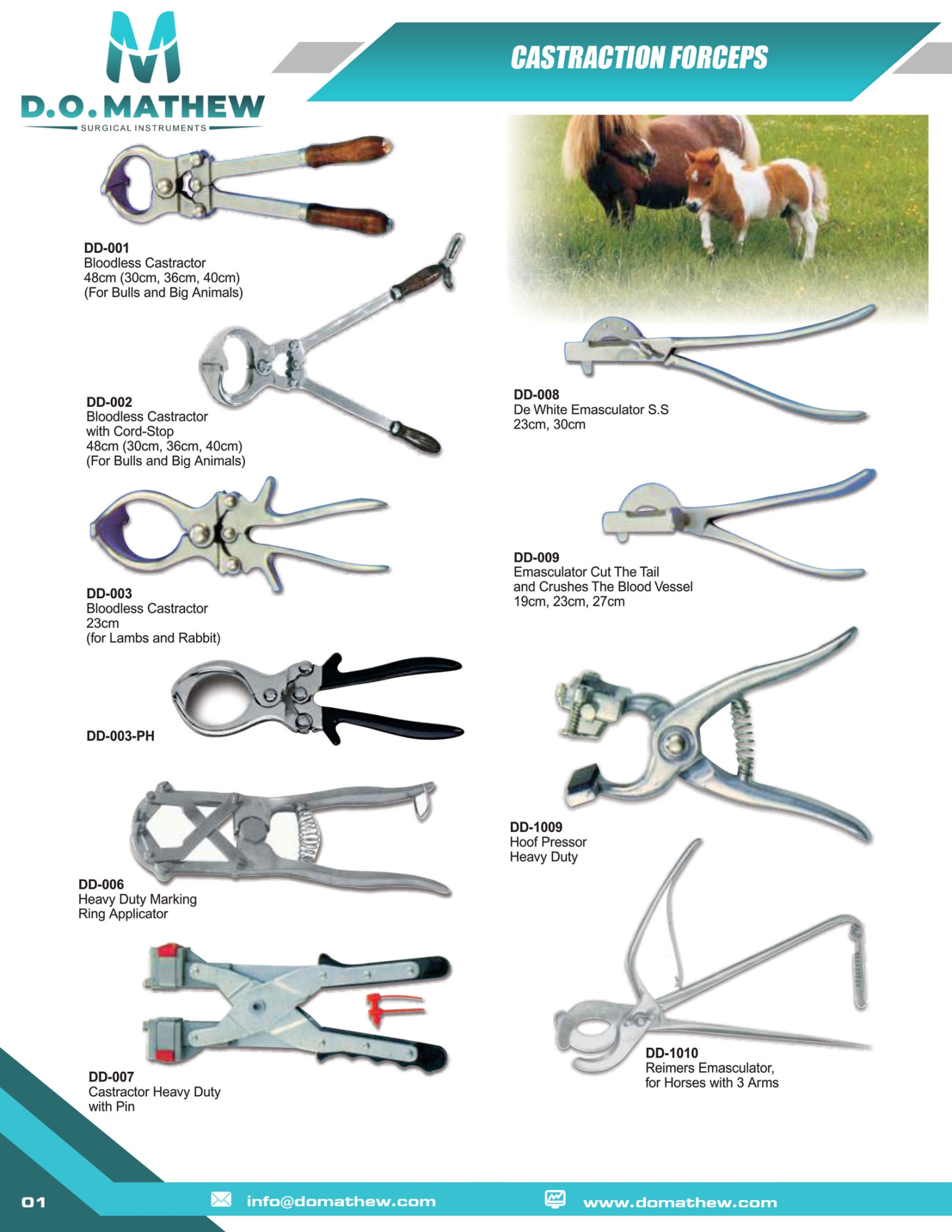  CASTRACTION FORCEPS